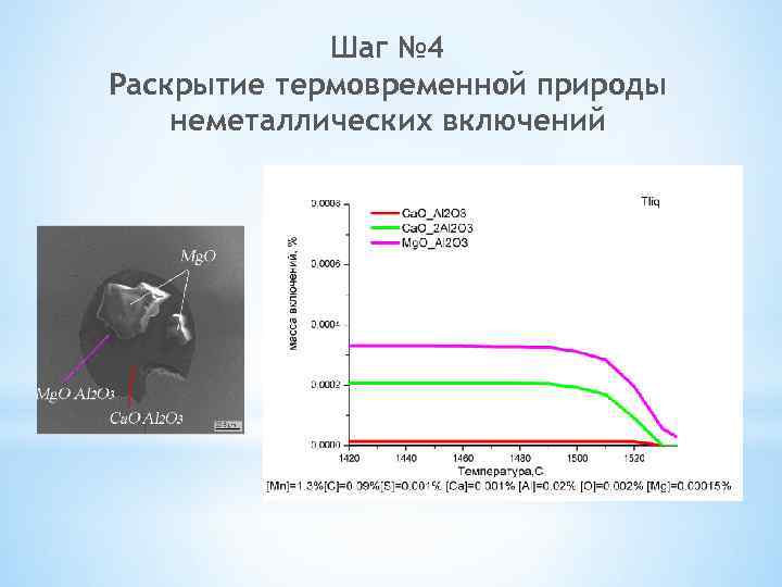 Шаг № 4 Раскрытие термовременной природы неметаллических включений 