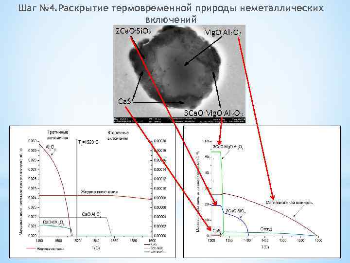 Шаг № 4. Раскрытие термовременной природы неметаллических включений 