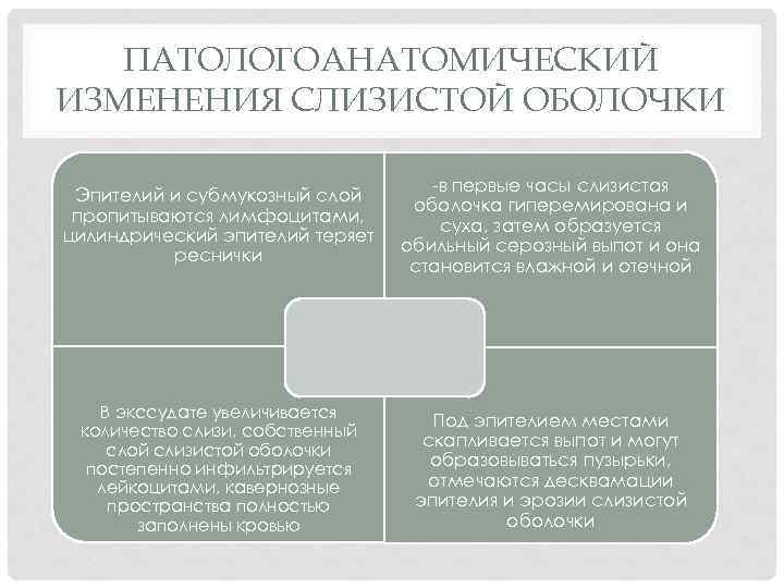 ПАТОЛОГОАНАТОМИЧЕСКИЙ ИЗМЕНЕНИЯ СЛИЗИСТОЙ ОБОЛОЧКИ Эпителий и субмукозный слой пропитываются лимфоцитами, цилиндрический эпителий теряет реснички
