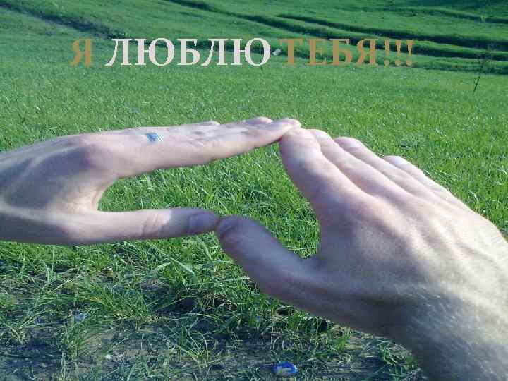 Я ЛЮБЛЮ ТЕБЯ!!! 