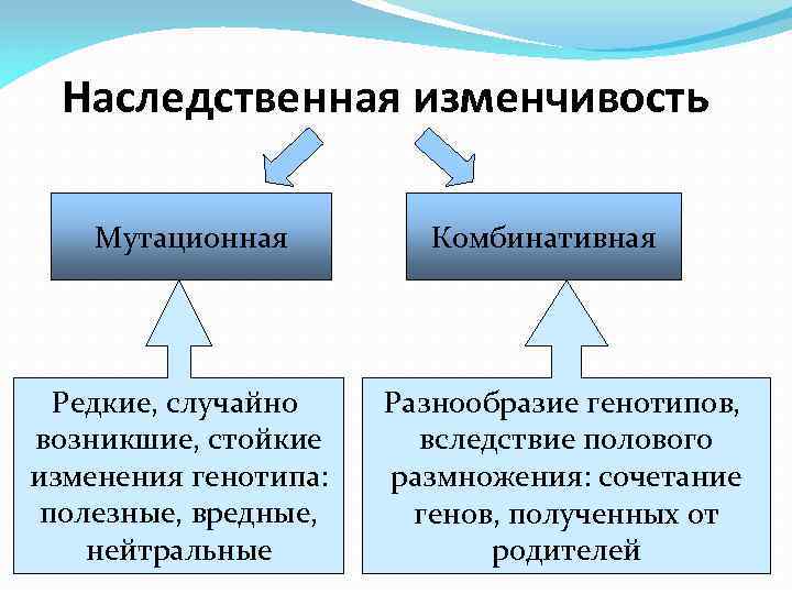 Схема виды изменчивости