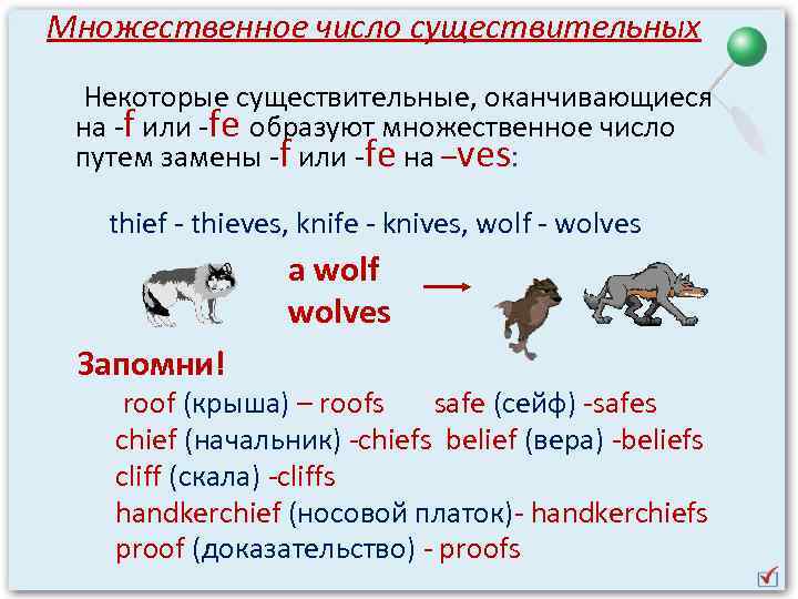 Исключения множественного числа в английском языке