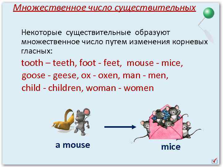Множественное число существительных Некоторые существительные образуют множественное число путем изменения корневых гласных: tooth –