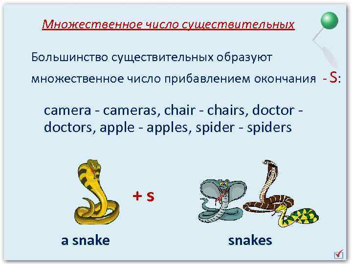 Множественное число существительных Большинство существительных образуют множественное число прибавлением окончания - S: camera -