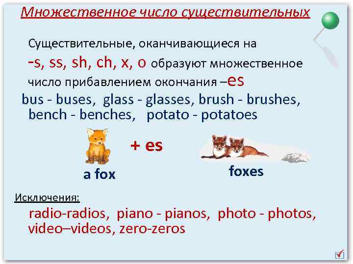 Образовать множественное число слова. Fox во множественном числе на английском. Bus во множественном числе на английском. Bus множественное число. Автобус во множественном числе на английском.