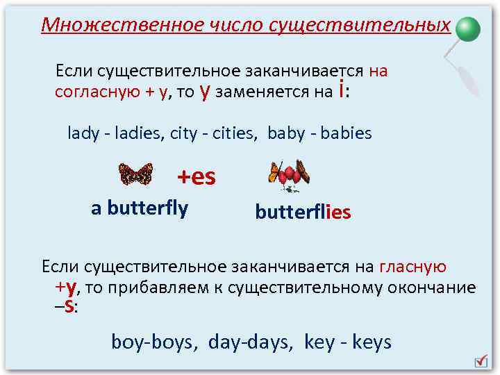 Суть множественное число слова есть. Butterfly множественное число. Бабочка во множественном числе на английском. Butterfly во множественном числе на английском. Множественное число слова Butterfly.