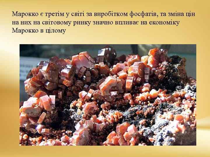 Марокко є третім у світі за виробітком фосфатів, та зміна цін на них на