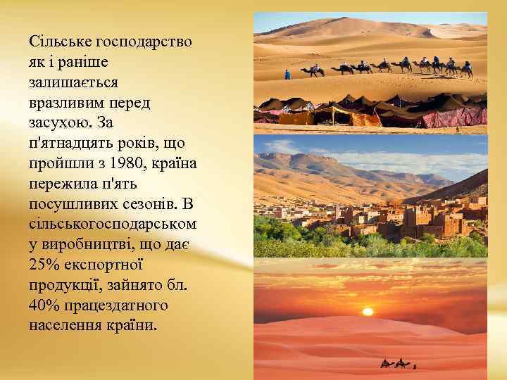 Сільське господарство як і раніше залишається вразливим перед засухою. За п'ятнадцять років, що пройшли