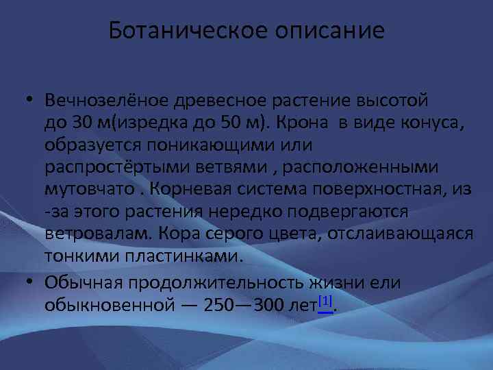 Ботаническое описание • Вечнозелёное древесное растение высотой до 30 м(изредка до 50 м). Крона