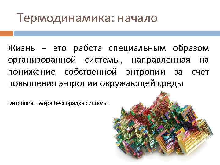 Термодинамика: начало Жизнь – это работа специальным образом организованной системы, направленная на понижение собственной