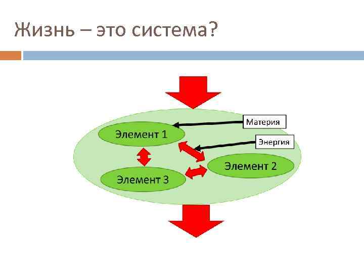 Жизнь – это система? 