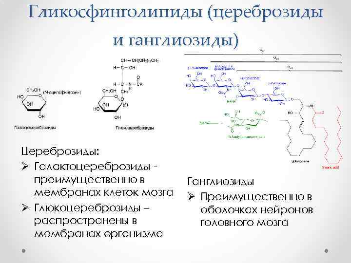 Гликосфинголипиды (цереброзиды и ганглиозиды) Цереброзиды: Ø Галактоцереброзиды преимущественно в мембранах клеток мозга Ø Глюкоцереброзиды