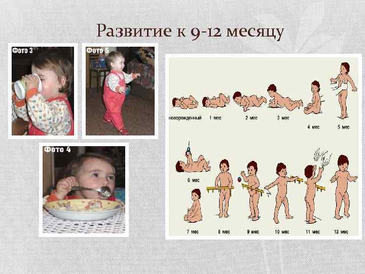 Развитие к 9 -12 месяцу 