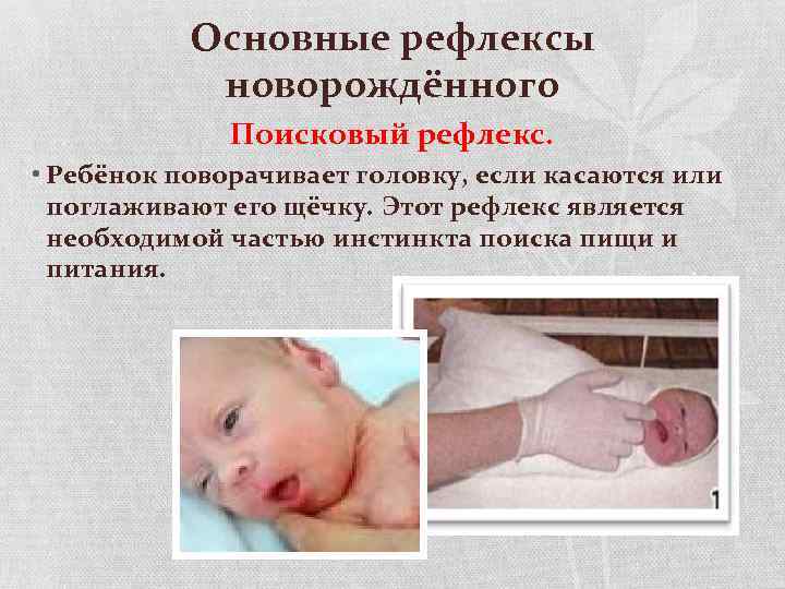 Основные рефлексы новорождённого Поисковый рефлекс. • Ребёнок поворачивает головку, если касаются или поглаживают его