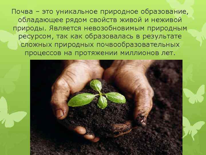 Почва – это уникальное природное образование, обладающее рядом свойств живой и неживой природы. Является