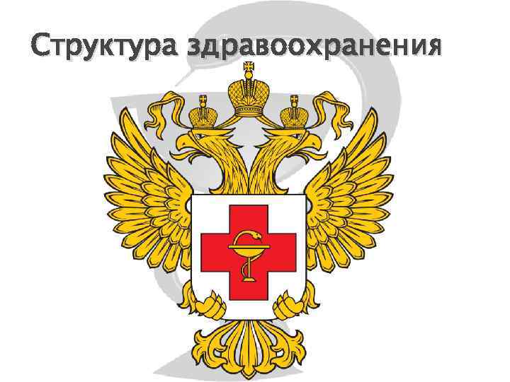 Структура здравоохранения 