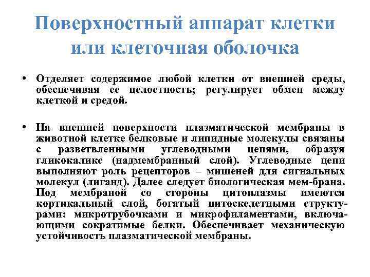 Поверхностный аппарат клетки или клеточная оболочка • Отделяет содержимое любой клетки от внешней среды,