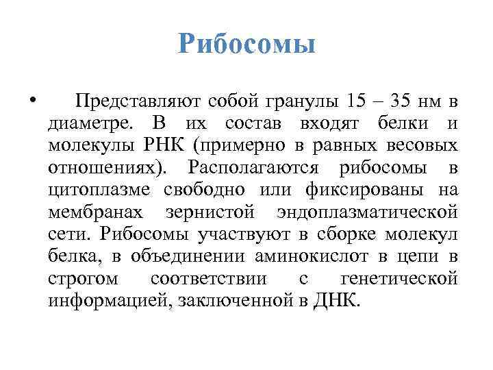 Рибосомы • Представляют собой гранулы 15 – 35 нм в диаметре. В их состав