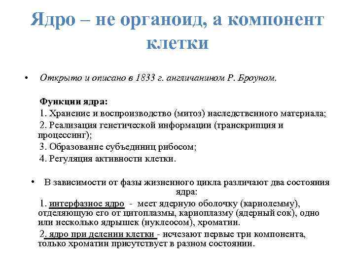 Ядро – не органоид, а компонент клетки • Открыто и описано в 1833 г.