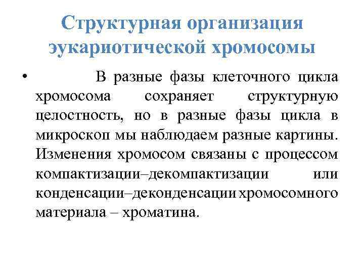 Структурная организация эукариотической хромосомы • В разные фазы клеточного цикла хромосома сохраняет структурную целостность,