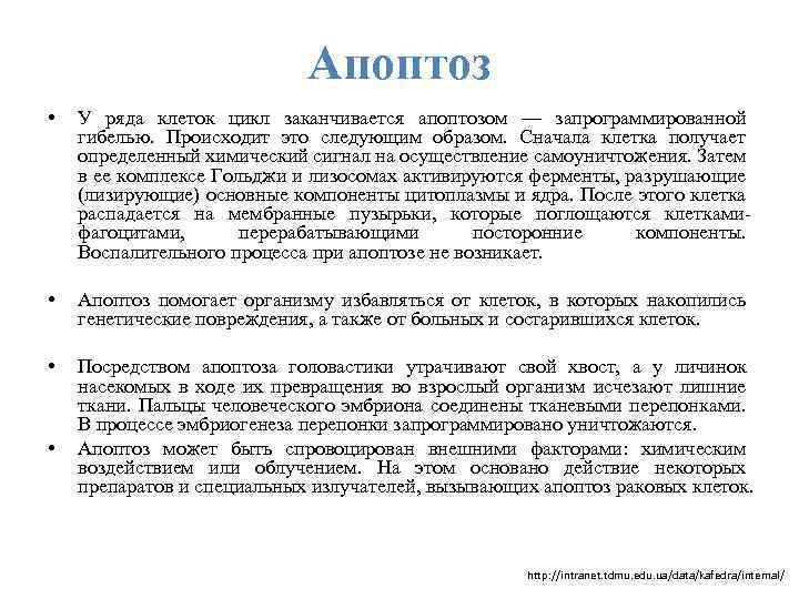 Апоптоз • У ряда клеток цикл заканчивается апоптозом — запрограммированной гибелью. Происходит это следующим