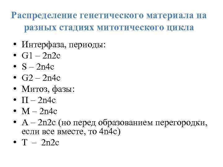 Распределение генетического материала на разных стадиях митотического цикла • • Интерфаза, периоды: G 1