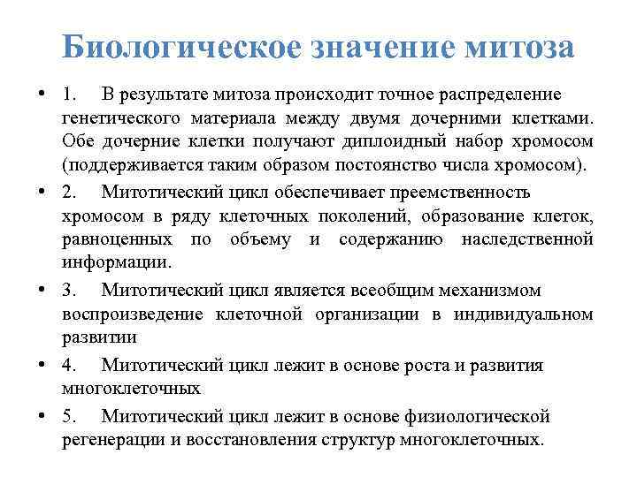 Биологическое значение митоза • 1. В результате митоза происходит точное распределение генетического материала между