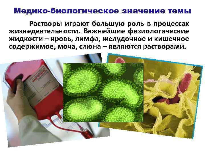 Медико-биологическое значение темы Растворы играют большую роль в процессах жизнедеятельности. Важнейшие физиологические жидкости –