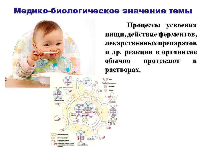 Медико-биологическое значение темы Процессы усвоения пищи, действие ферментов, лекарственных препаратов и др. реакции в