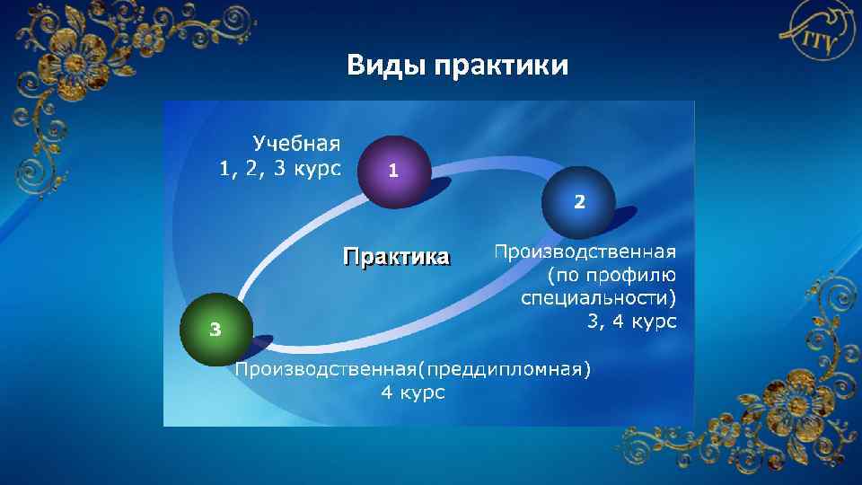 Виды практики 