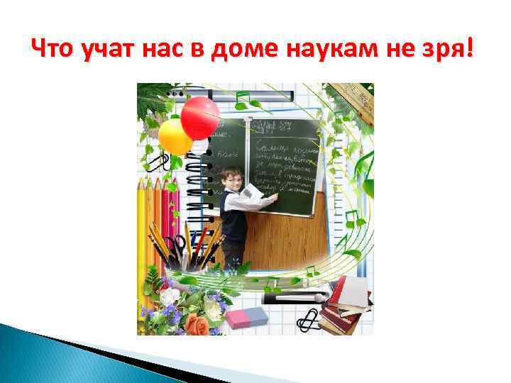 Что учат нас в доме наукам не зря! 