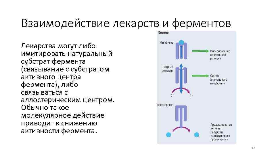 Взаимодействие лекарств и ферментов Лекарства могут либо имитировать натуральный субстрат фермента (связывание с субстратом