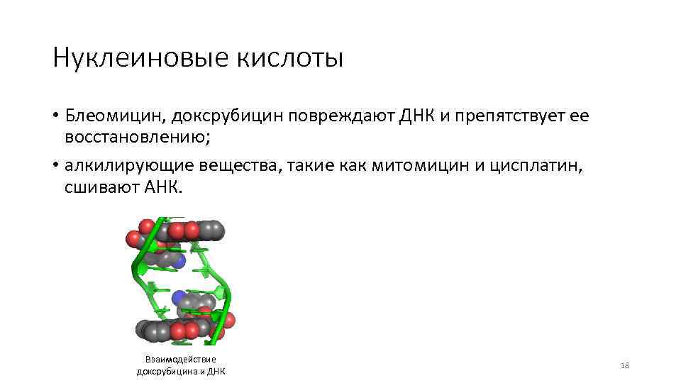 Нуклеиновые кислоты • Блеомицин, доксрубицин повреждают ДНК и препятствует ее восстановлению; • алкилирующие вещества,