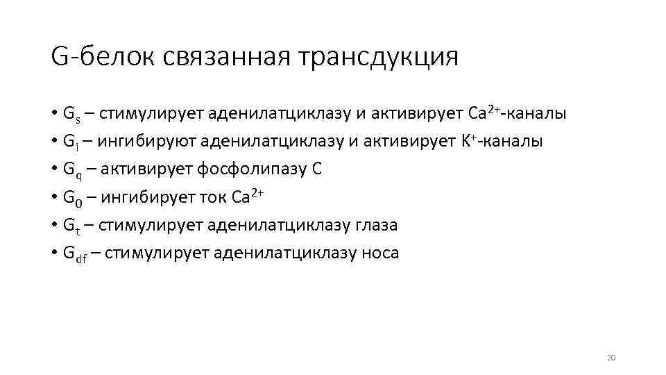 G-белок связанная трансдукция • Gs – стимулирует аденилатциклазу и активирует Ca 2+-каналы • Gi