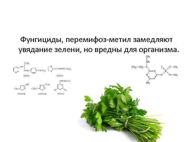  Фунгициды, перемифоз-метил замедляют увядание зелени, но вредны для организма. 