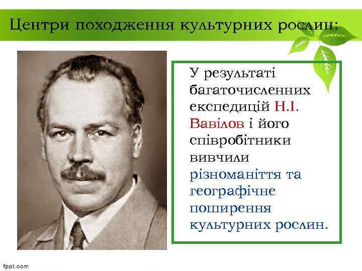 Центри походження культурних рослин: У результаті багаточисленних експедицій Н. І. Вавілов і його співробітники