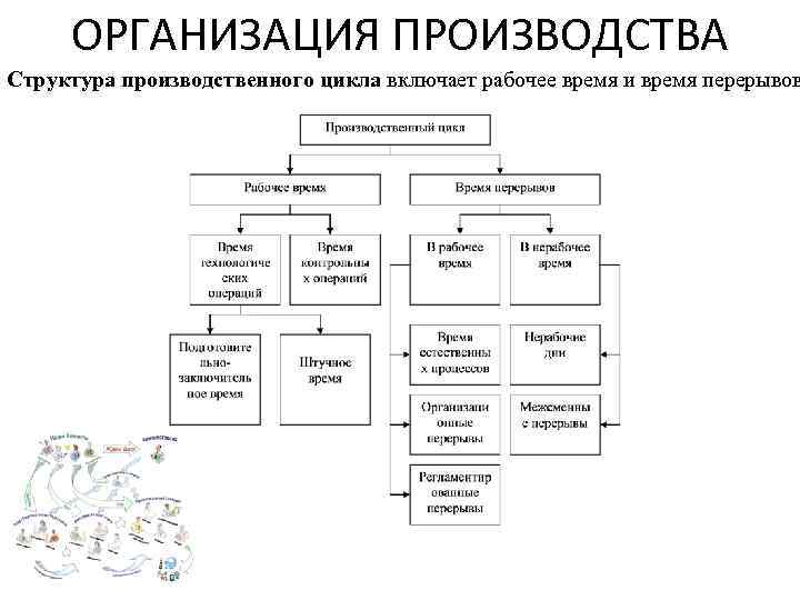 Выбор производственной структуры. Производственная структура. Структура производства. Производственная структура организации. Структура организации производства.