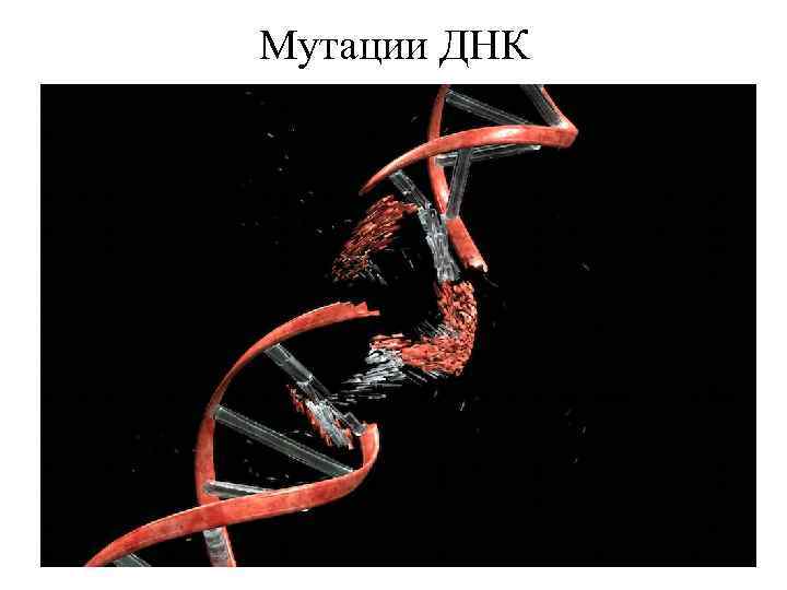 Мутации ДНК 