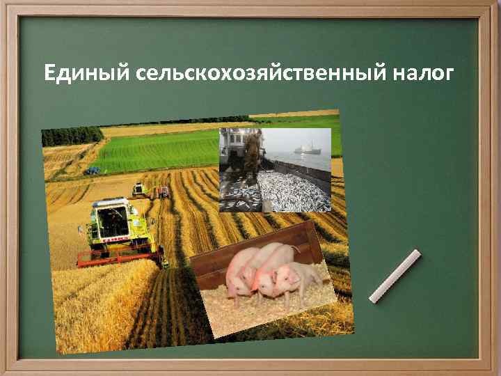 Единый сельскохозяйственный налог есхн