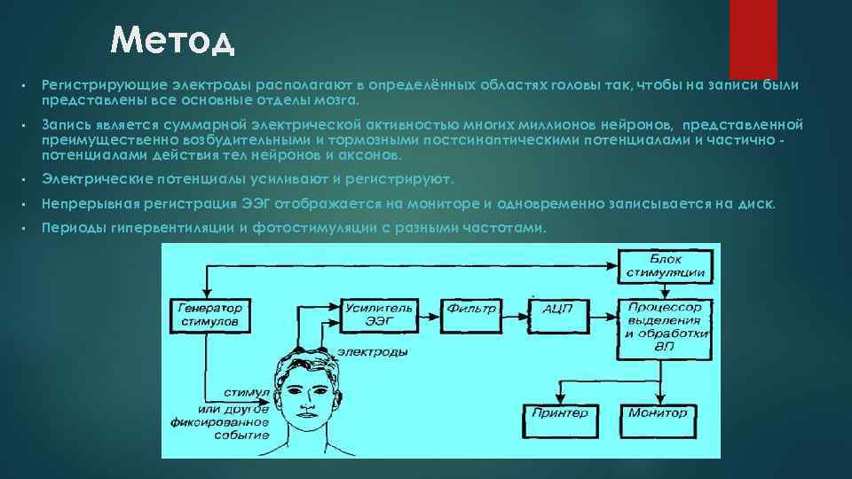 Метод • Регистрирующие электроды располагают в определённых областях головы так, чтобы на записи были
