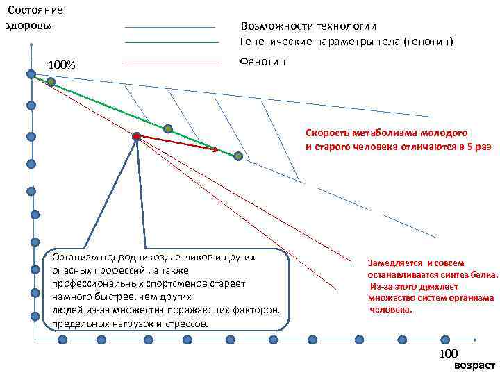  Состояние здоровья 100% Возможности технологии Генетические параметры тела (генотип) Фенотип Скорость метаболизма молодого