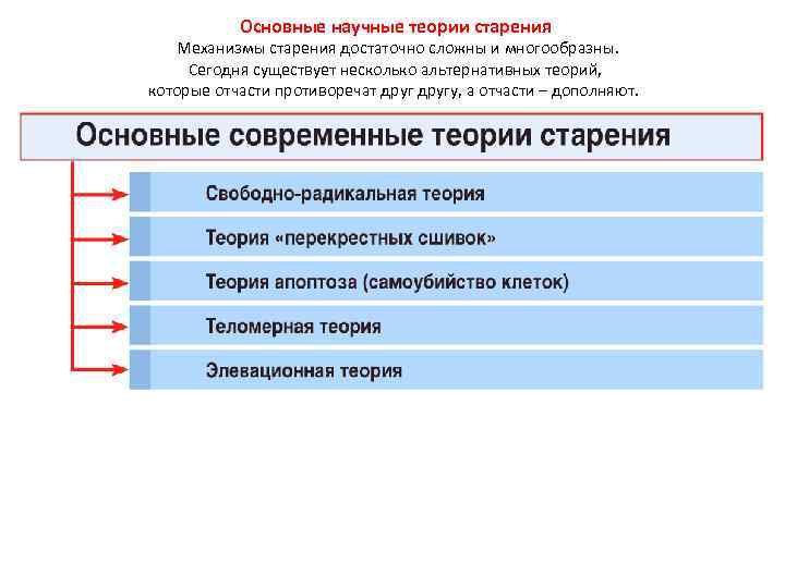 Основные научные теории старения Механизмы старения достаточно сложны и многообразны. Сегодня существует несколько альтернативных