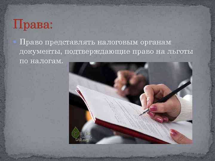 Права: Право представлять налоговым органам документы, подтверждающие право на льготы по налогам. 