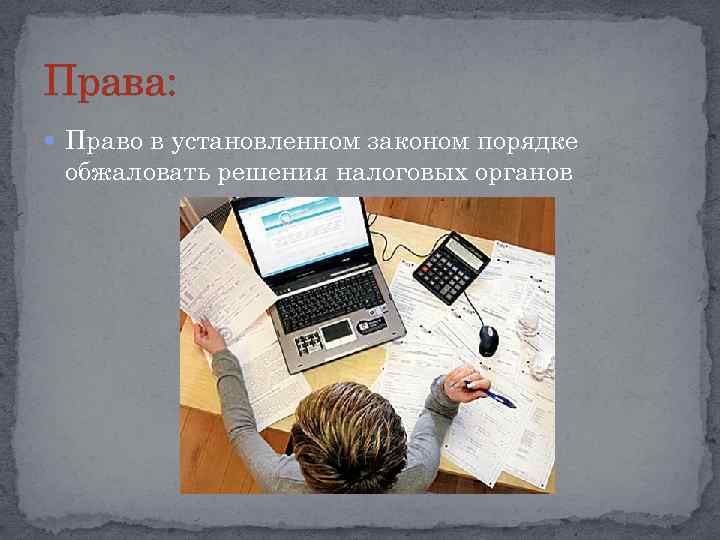 Права: Право в установленном законом порядке обжаловать решения налоговых органов 