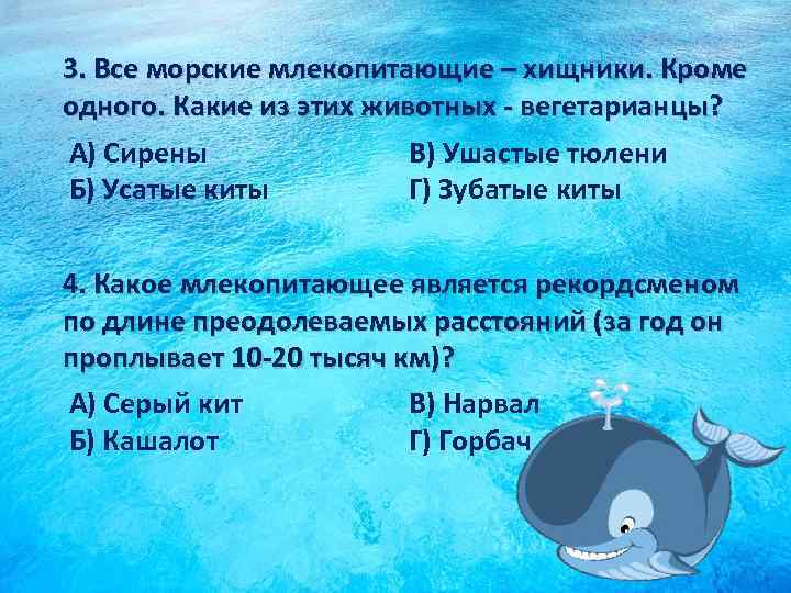 3. Все морские млекопитающие – хищники. Кроме одного. Какие из этих животных - вегетарианцы?