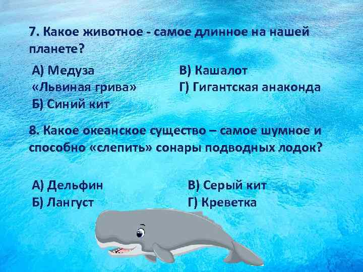 7. Какое животное - самое длинное на нашей планете? А) Медуза В) Кашалот «Львиная