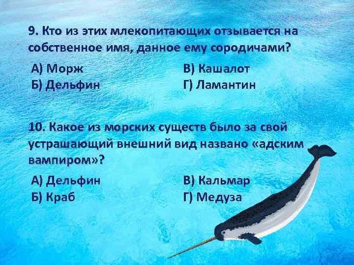 9. Кто из этих млекопитающих отзывается на собственное имя, данное ему сородичами? А) Морж