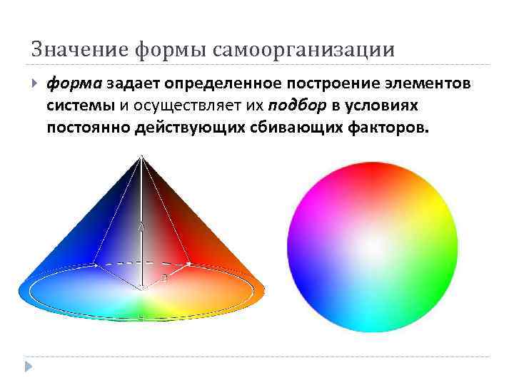 Значение формы самоорганизации форма задает определенное построение элементов системы и осуществляет их подбор в
