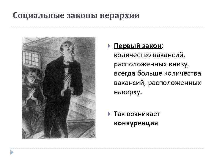 Социальные законы иерархии Первый закон: количество вакансий, расположенных внизу, всегда больше количества вакансий, расположенных