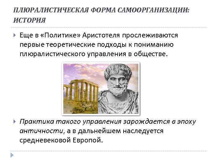 ПЛЮРАЛИСТИЧЕСКАЯ ФОРМА САМООРГАНИЗАЦИИ: ИСТОРИЯ Еще в «Политике» Аристотеля прослеживаются первые теоретические подходы к пониманию